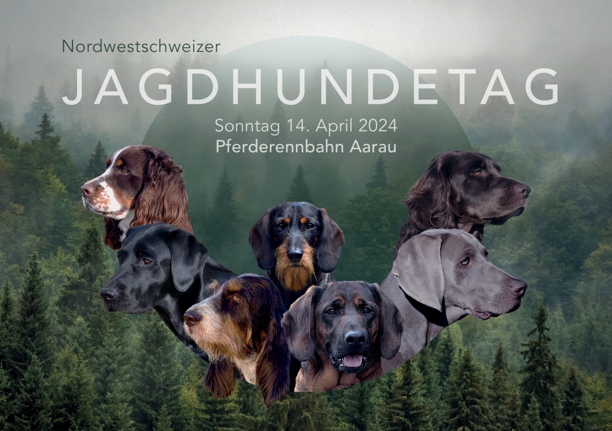 Aargauischer Jagdschutzverein AJV Jagdaargau Der Dachverband Der aargauischer-jagdschutzverein-ajv-jagdaargau-der-dachverband-der